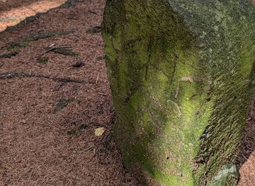 germany/taunus/landmark/gemarkungsstein