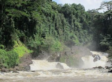sierra-leone/pujehun/landmark/gola-forest-reserve