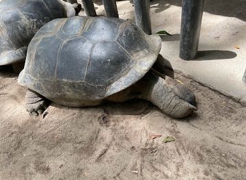seychelles/port-glaud/landmark/national-botanical-garden