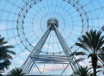 florida/orlando/international-drive/landmark/museum-of-illusions-orlando