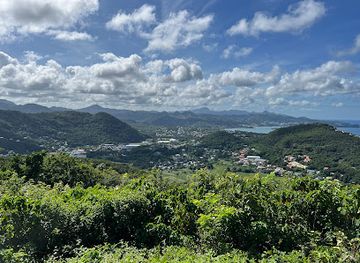 saint-lucia/tet-paul-scenic-trail/landmark/mt-pimard-trail