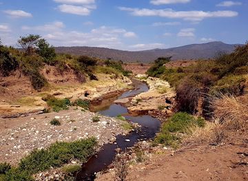 kenya/lake-magadi/landmark/olorgesailie-prehistoric-site