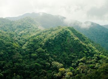 sierra-leone/eastern-province/landmark/gola-forest-reserve