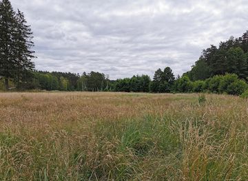 poland/bory-tucholskie/landmark/zrodla-rzeki-stazki