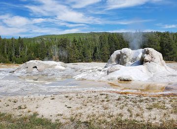 wyoming/yellowstone-national-park/landmark/grotto-geyser