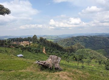 rwanda/gitarama/landmark/nyungwe-forest-national-park