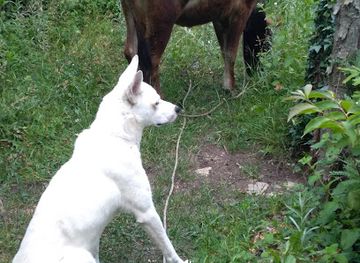 georgia/imereti/landmark/mujireti-cave