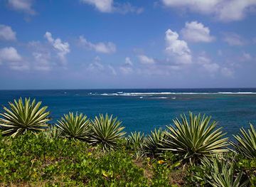 saint-kitts-and-nevis/dieppe-bay-town/landmark/dieppe-bay