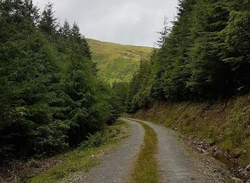 united-kingdom/argyllshire/landmark/puck-s-glen