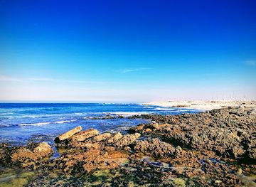 morocco/doukkala-abda/landmark/souk-el-hamra