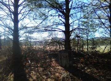 south-carolina/upstate/landmark/commemorating-the-ring-fight