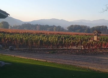 chile/colchagua-valley/landmark/rayuela-wine-grill-vina-viu-manent
