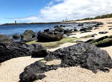 ecuador/puerto-baquerizo-moreno/landmark/playa-baquerizo