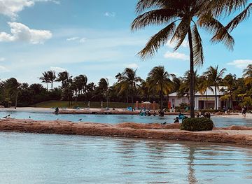 the-bahamas/nassau-and-paradise-island/landmark/dolphin-cay-atlantis
