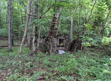 indiana/michigan-city/landmark/save-the-dunes