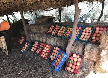 tunisia/tunisian-sahara/landmark/roman-alsania