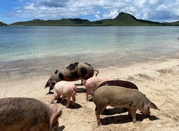 antigua-and-barbuda/saint-mary/landmark/pig-s-paradise-antigua