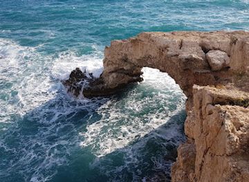 cyprus/akamas-peninsula/landmark/paphos-mosaics