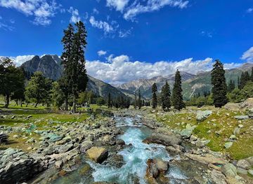 india/kashmir-great-lakes/landmark/thajiwas-glacier