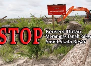 indonesia/kalimantan/landmark/save-our-borneo
