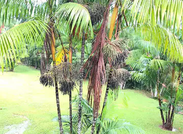 Stann Creek Valley