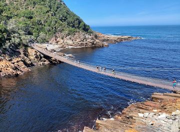 south-africa/tsitsikamma-national-park/landmark/suspension-bridge