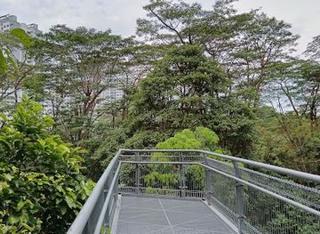 singapore/southern-ridges/landmark/lookout-point-forest-walk
