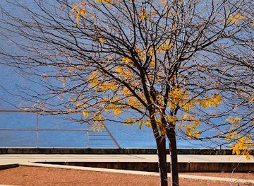 australia/canberra/kingston/landmark/alf-stafford-park