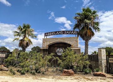 texas/brazos-valley/landmark/aggieland-safari
