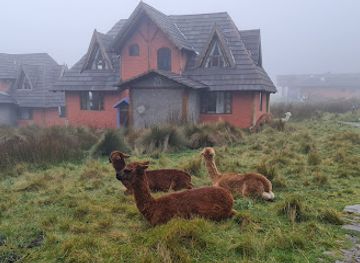 ecuador/chimborazo-region/landmark/chimborazo-lodge