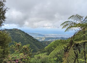 jamaica/john-crow-mountains/landmark/holywell-park-jamaica