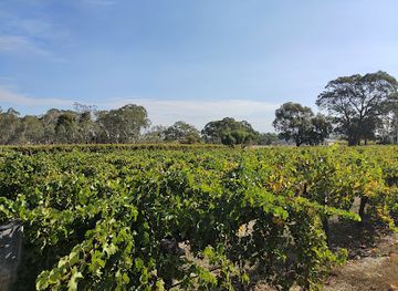 australia/barossa-valley/landmark/rockford-wines