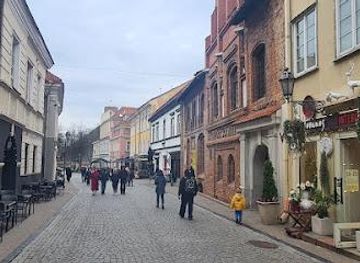 lithuania/vilnius/landmark/pilies-g