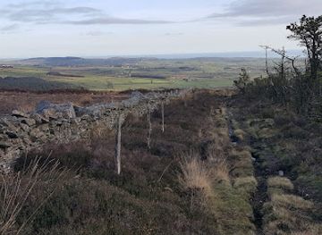 isle-of-man/port-st-mary/landmark/mwt-earystane-nature-reserve