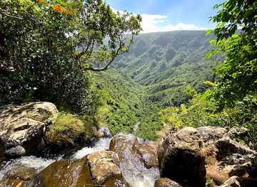 mauritius/black-river-gorges-national-park/landmark/mare-aux-joncs-black-river-gorges-mauritius-waterfall