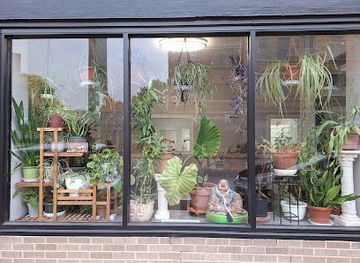 illinois/rockford/landmark/luna-datura-s-curious-gifts