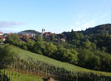 slovenia/posavje/landmark/raka-castle
