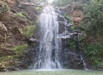 kenya/laikipia-plateau/landmark/ngare-ndare-forest-park