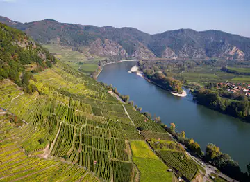 Domäne Wachau