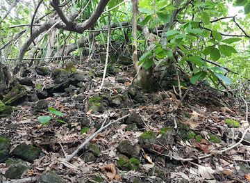 maldives/hithadhoo-island/landmark/bun-bera