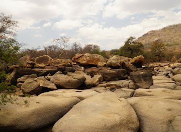 tanzania/ruaha-region/landmark/little-ruaha-river