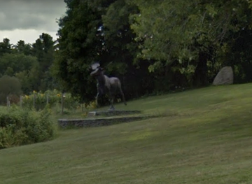 maine/augusta/landmark/the-moose-at-uma