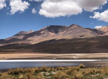 chile/central-valley/landmark/salvador-dali-desert