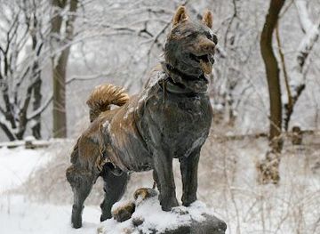connecticut/greenwich/landmark/balto-statue