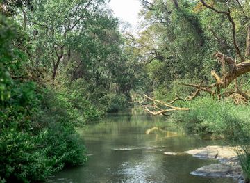 malawi/central-region/landmark/lilongwe-wildlife-centre