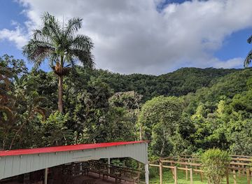 puerto-rico/west-region/landmark/hacienda-buena-vista-para-la-naturaleza
