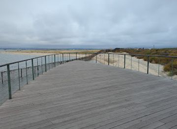 california/coronado/landmark/the-silver-strand-nature-s-bridge-to-discovery