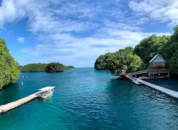 palau/melekeok/landmark/dolphins-pacific