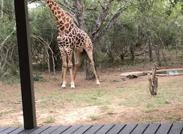 south-africa/zululand/landmark/kuleni-game-park