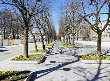 lithuania/kaunas/landmark/laisves-al